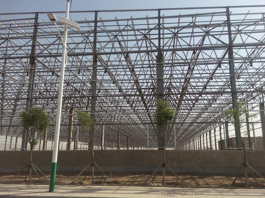 双城汽车工业厂房网架